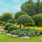 Essential tools every landscaper should own