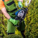 Water features: adding serenity to your landscape